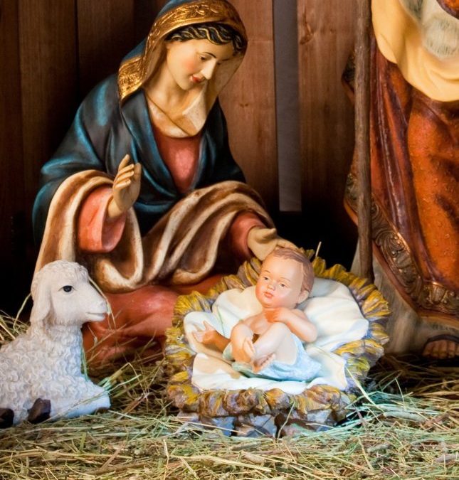 What Has Little Jesus Brought you?