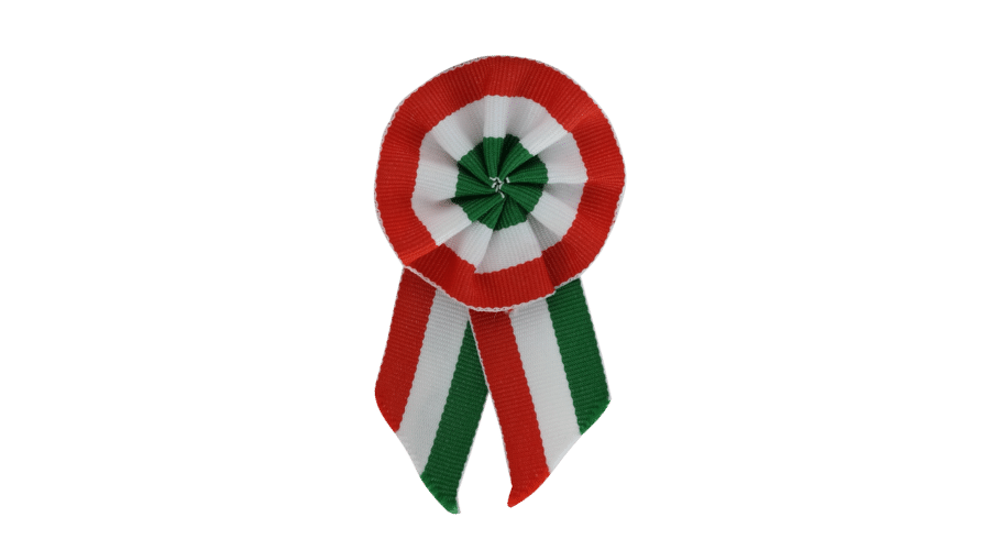 WHY DO HUNGARIANS WEAR A ROSETTE ON MARCH 15?